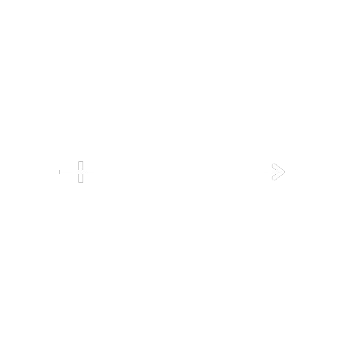DeepVisual Logo